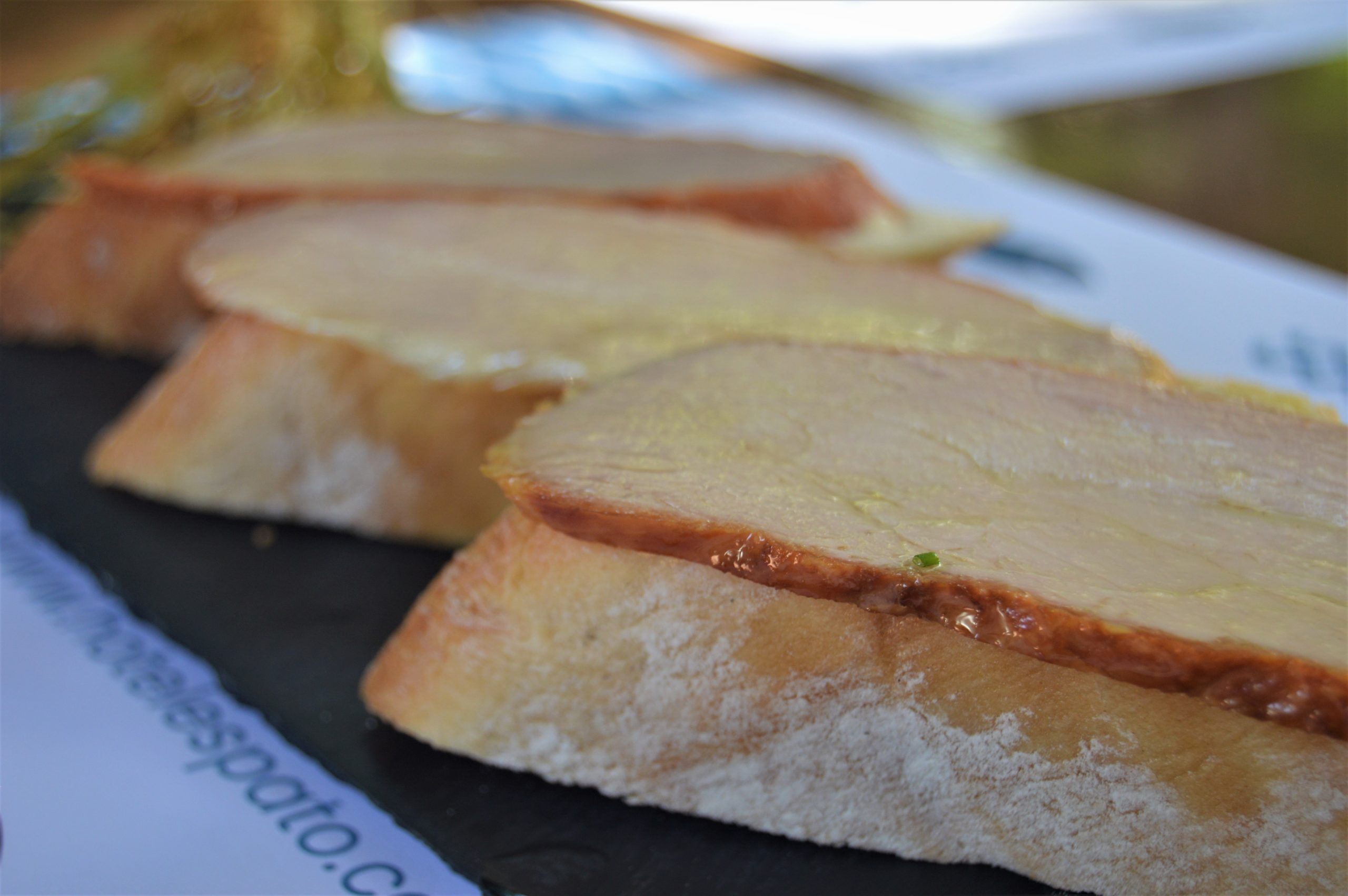 TOSTA DE LOMO DE ORZA 2